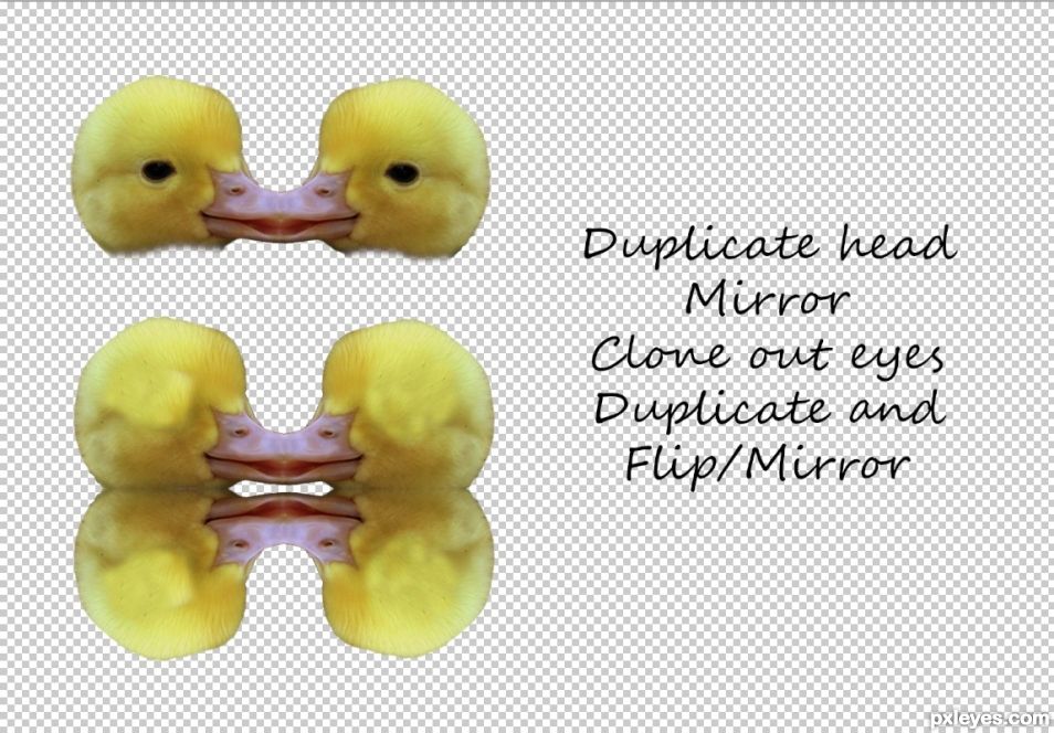 Creation of Duck Lip Balls: Step 1