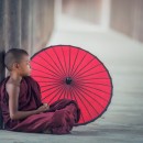 young monk photoshop contest