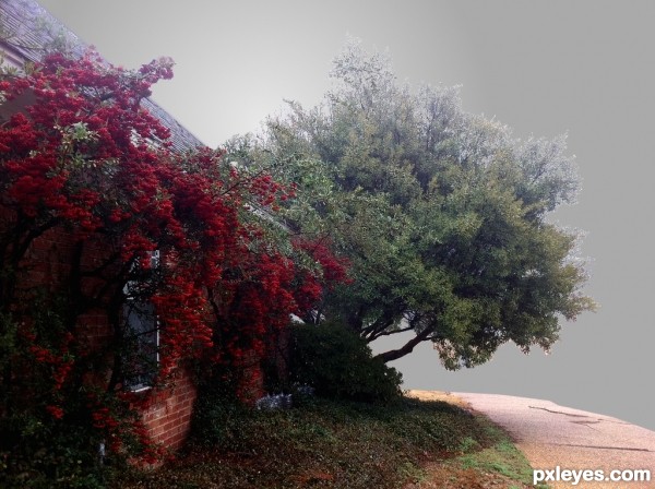 Creation of Firethorn Berries in Fog: Step 2