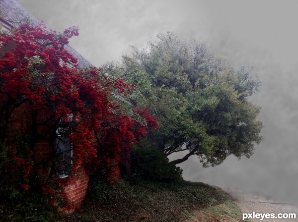Creation of Firethorn Berries in Fog: Step 3