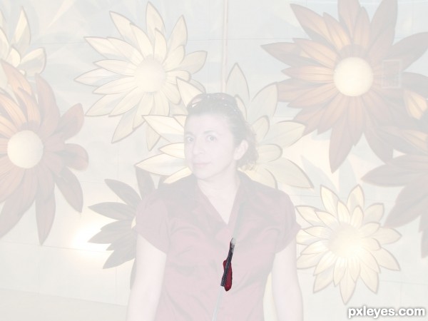 Creation of My Mom: Step 1