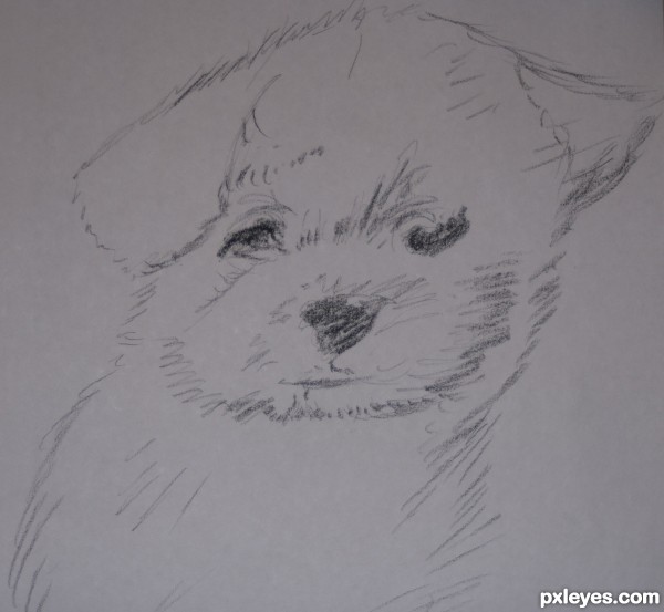 Creation of My baby: Step 2