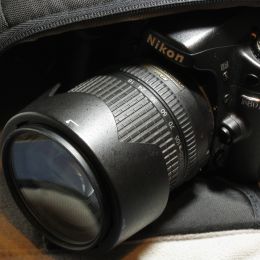 My D80 Picture