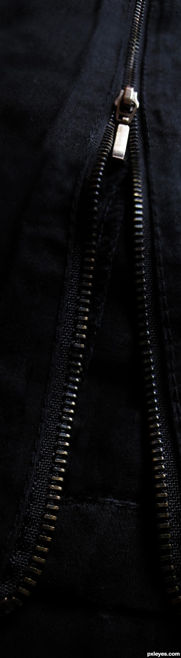 Zipper pant