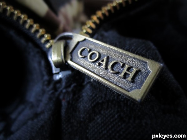 coach