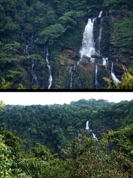 Jog Falls