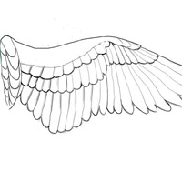 how to draw angel wings step by step