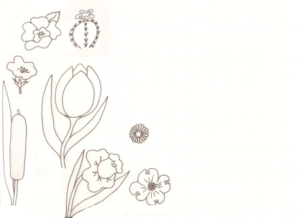 Flower Drawing Lessons - Traditional-Drawing Tutorial ...
