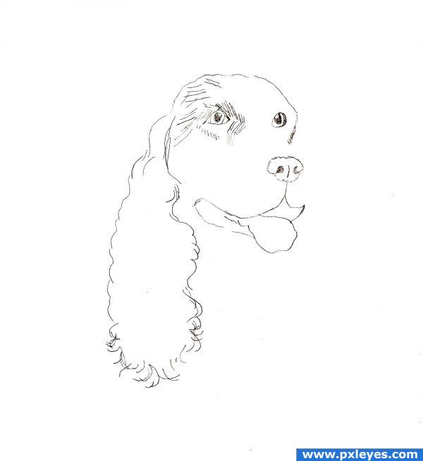 Lps Cocker Spaniel How To Draw It Easy For Kids Lps Cocker Spaniel How To Draw It Easy For Kids