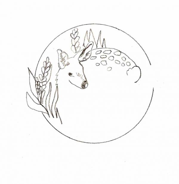 basic drawing for beginners basic drawing for beginners