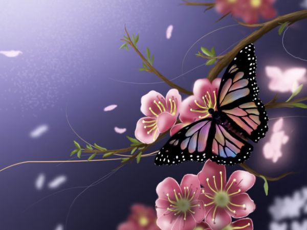 Featured image of post Flower Easy Butterfly Scenery Drawing : I&#039;m really bored so maybe i draw another one ^w^ i love you guys!.