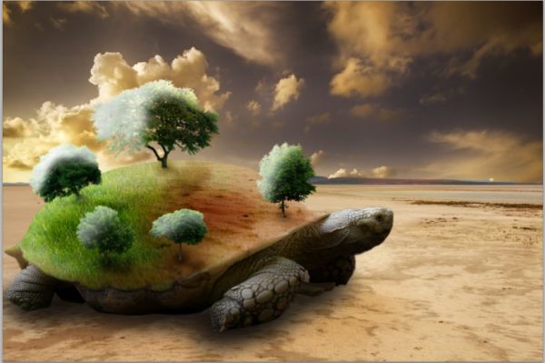 turtle photoshop surreal create pxleyes step tutorial