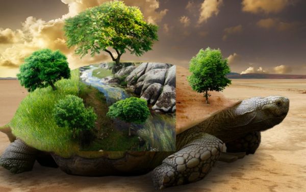 turtle surreal create pxleyes photoshop tutorial step
