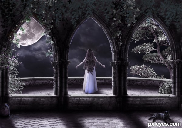 Create a Beautiful Surreal Night Photo Manipulation Final Image