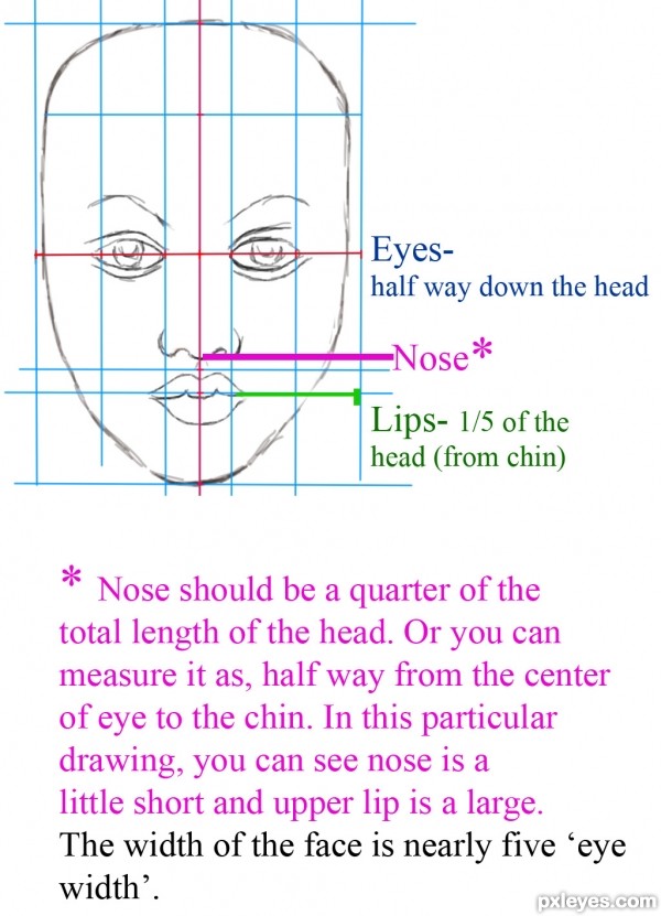 2419_step1_4d8c4d9f4756b.jpg