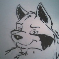 Wolf Headshot - Semi-Profile
