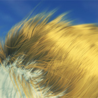 http://www.pxleyes.com/images/tutorials/video/4b252deb183ad.jpg