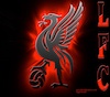 avatar D90REDS