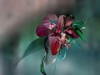 avatar Eilenna7