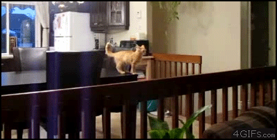 4ea92ae115414.gif