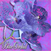 avatar blueorchid2010