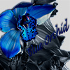 avatar blueorchid2011