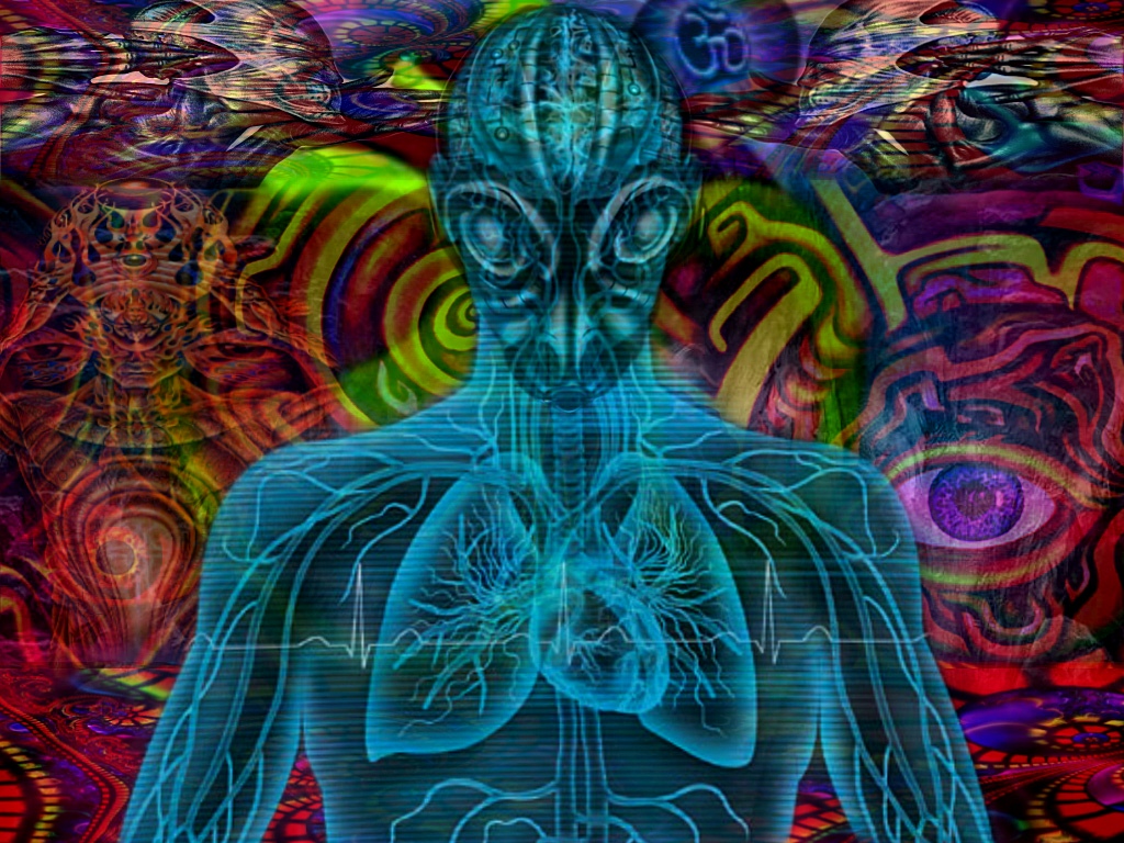 HD HD