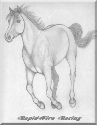 Pencil drawing of galloping