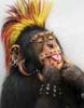 avatar sulung